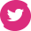 zb-pink-twitter-icon